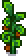 regrowth