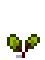 stage 3