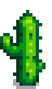 stage 5