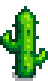 regrowth
