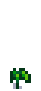 stage 2
