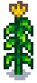 regrowth