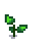 stage 3