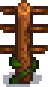 stage 1