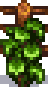regrowth