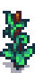 stage 5