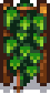 regrowth