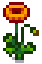 harvest