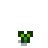 stage 2