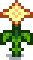harvest