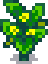 regrowth
