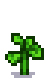 stage 3