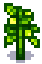 regrowth