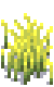 harvest