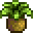 Wild Horseradish — spring foragable in Stardew Valley